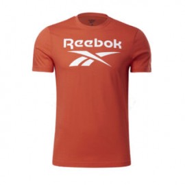 Playera Reebok Caballero Ri Big Logo Tee