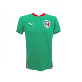 Jersey Puma Seleccion Mexicana Hombre 73911102