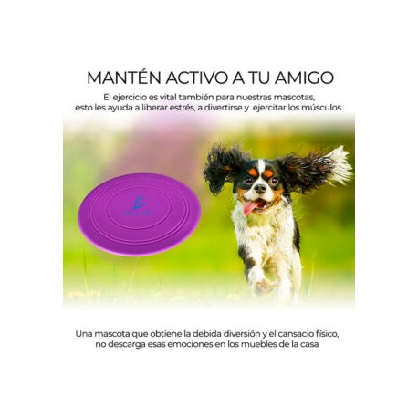 Entrenamiento Mascota Soft Frisbee Comederos Multifuncional Elegate